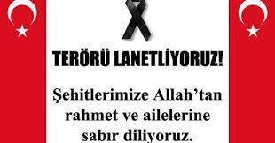 15380400_362197867470474_1742104918901809706_n